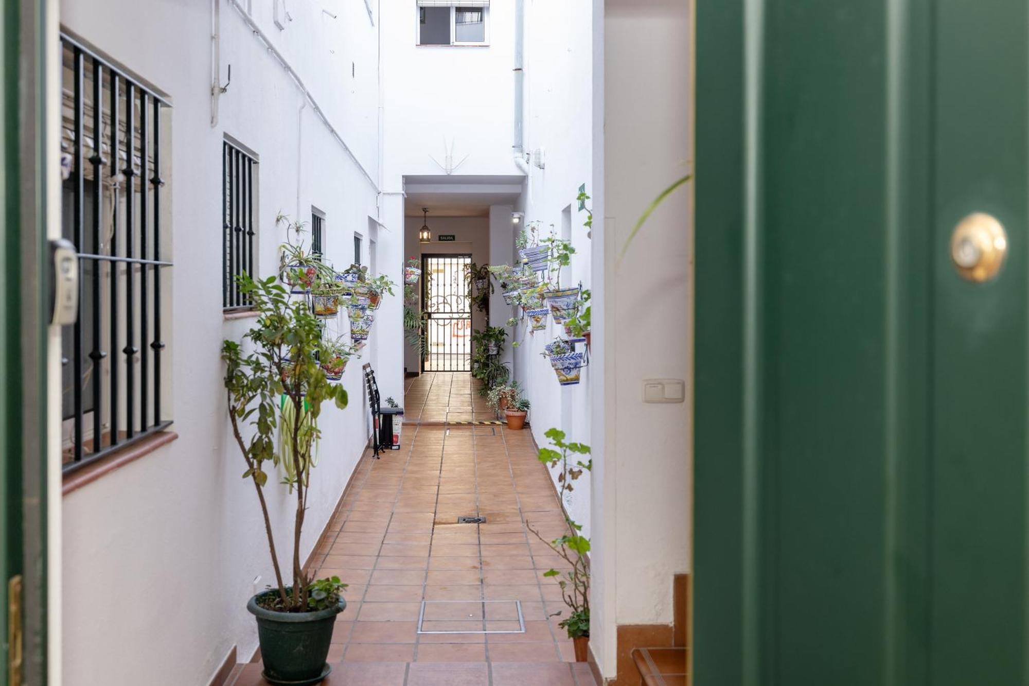 Apartamentos Trianasol Sevilla Bagian luar foto
